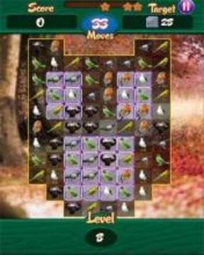 Save The Birds : The Quest游戲截圖3