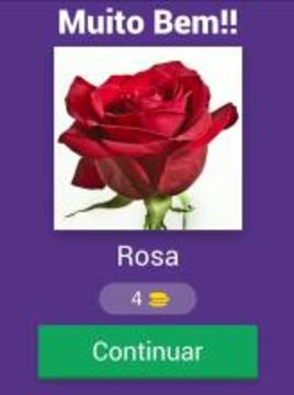 Quiz de flores游戲截圖5