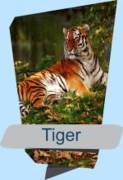 HD ANIMALS SOUND游戲截圖3