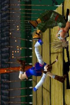 New Bloody Roar Hint游戲截圖1