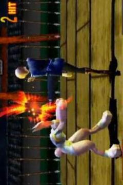 New Bloody Roar Hint游戲截圖3