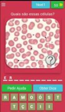 Questionário de Hematologia游戲截圖1