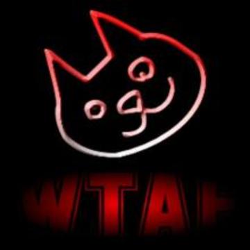 WTAF Shocking Facts游戲截圖2