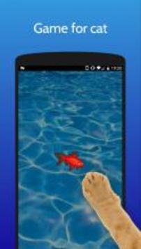 Jeu pour chat et chien | poisson游戲截圖1
