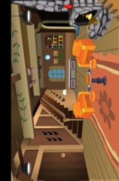 Escape Games - Turkey Wooden House游戲截圖1