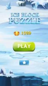 Ice Block Puzzle游戲截圖1
