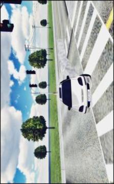 Civic Driving & Drift Simulator游戏截图4