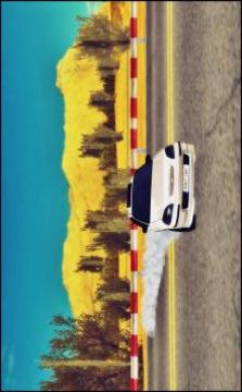 Civic Driving & Drift Simulator游戲截圖5
