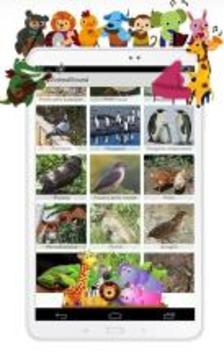 Animal Sounds游戲截圖2
