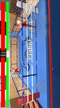World Wrestling Revolution Team Tag Champion游戲截圖1