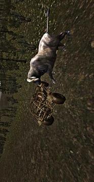 Animal Hunting 3D: Safari Jeep 2018游戲截圖2