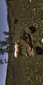 Animal Hunting 3D: Safari Jeep 2018游戲截圖3