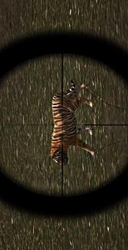 Animal Hunting 3D: Safari Jeep 2018游戲截圖1