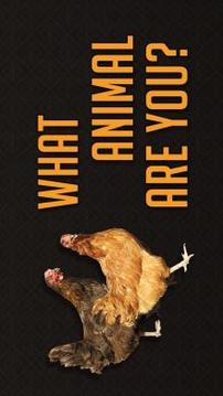 What animal are you?游戲截圖3