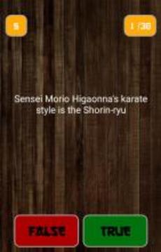 Karate TrueOrFalse游戲截圖3