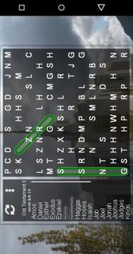 LDS Word Search Puzzle游戲截圖2