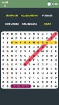 Word Search - Compound Words游戲截圖2