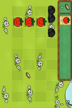 植物大战甲壳虫游戏截图5