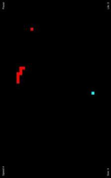 Snake Chase - enhanced classic snake game游戲截圖3