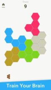 Block Puzzles Pack游戲截圖3