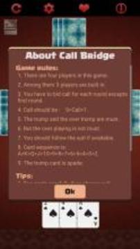 Call Bridge游戏截图4