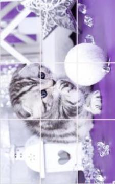 kittens Puzzle游戲截圖2