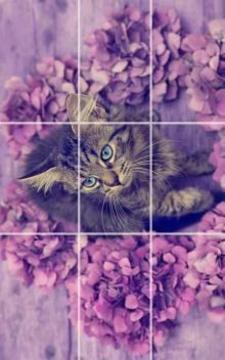 kittens Puzzle游戲截圖1