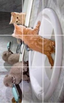 kittens Puzzle游戲截圖4