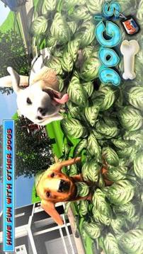 DOGS LIFE : Free Dog Games游戲截圖3