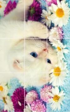 kittens Puzzle游戲截圖5