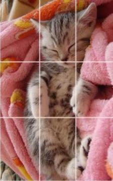 kittens Puzzle游戲截圖3