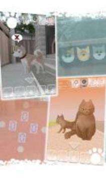 Escape game : Lost Cat Story游戲截圖3