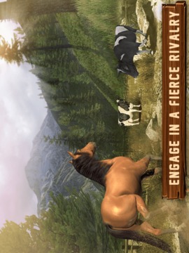 Horse Simulator Free游戲截圖2