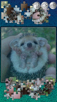 嬰兒動物拼圖游戲截圖2