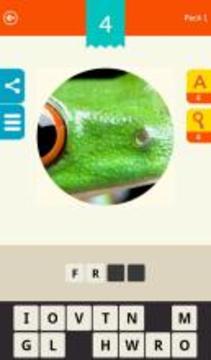 Zoom! ~ Magnified Pics Quiz游戲截圖2