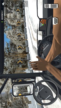 Pro Truck Driver游戲截圖3