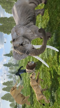 Wild Elephant Simulator游戲截圖4