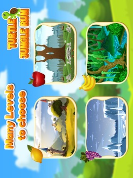 Turtle Jungle Run Adventure游戲截圖1