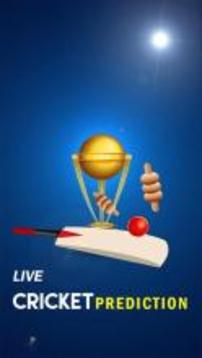 Cricket Prediction游戲截圖1
