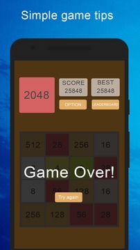 2048 Game - Game 2048游戏截图1
