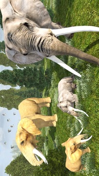 Wild Elephant Simulator游戲截圖2
