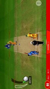 T20 Cricket 2012游戲截圖4
