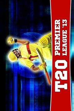 T20 Premier League 2013游戲截圖1