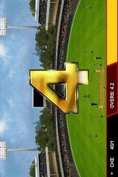T20 Premier League 2013游戲截圖5