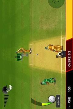 T20 Premier League 2013游戲截圖2