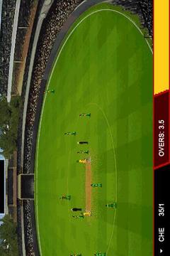 T20 Premier League 2013游戲截圖4