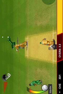 T20 Premier League 2013游戲截圖3
