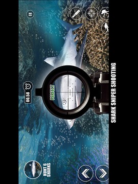 Ultimate Shark Sniper Hunting游戲截圖5
