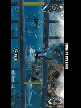 Ultimate Shark Sniper Hunting游戲截圖4
