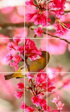 謎 - 鳥游戲截圖2